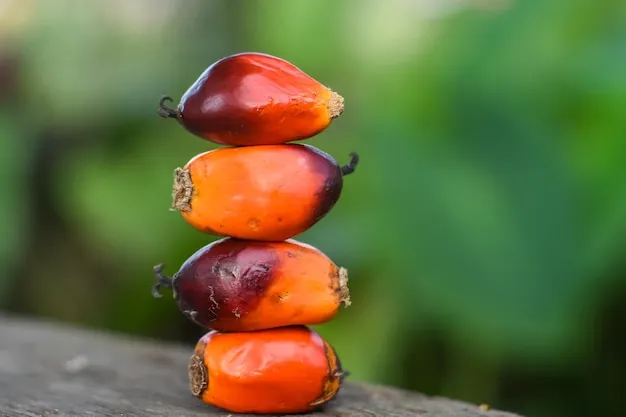 Palm Fruits